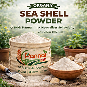 Sea Shell Powder 1KG
