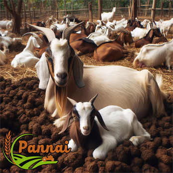 Goat and Sheep Manure 5KG