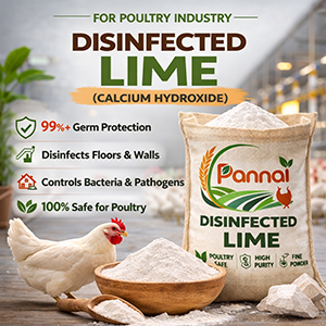 Disinfected Lime Powder 1KG