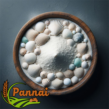 Shell Lime Powder 5KG